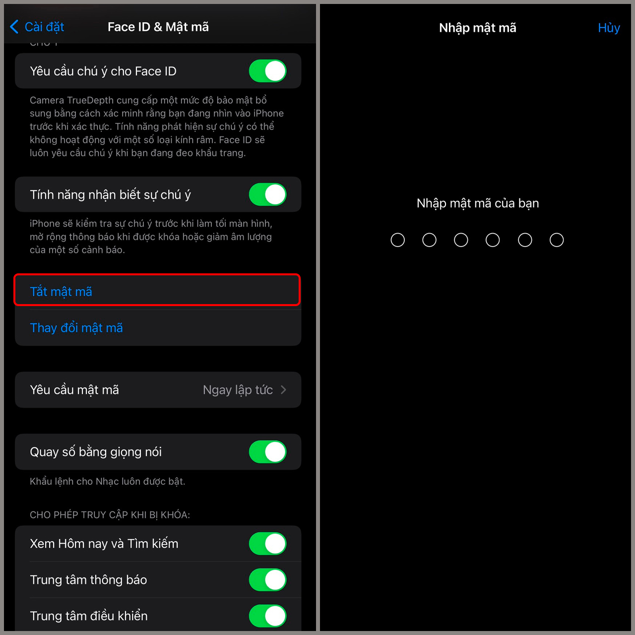Cách xóa mật mã iPhone
